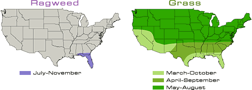 pollen_map_summer